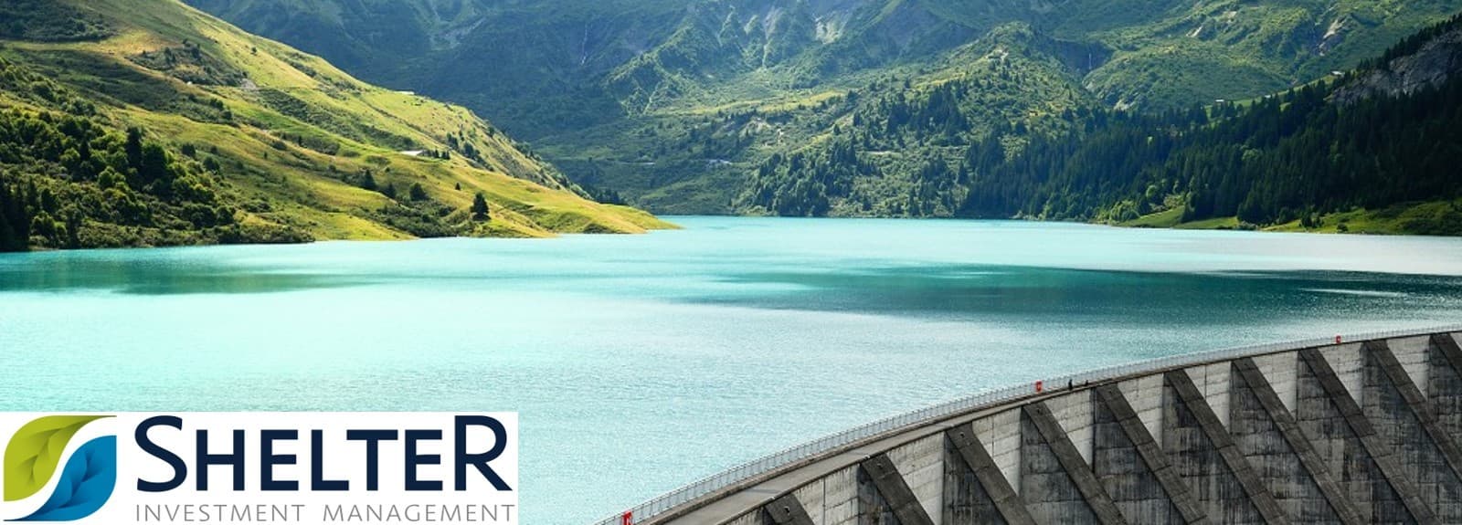 Shelter Investment Management