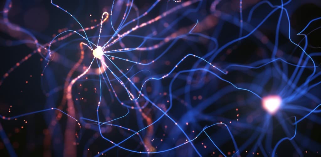 Axon Advisory & Consulting