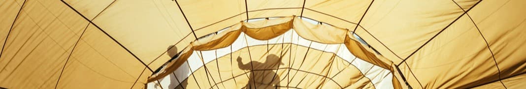 Arendt Regulatory & Consulting S.A.