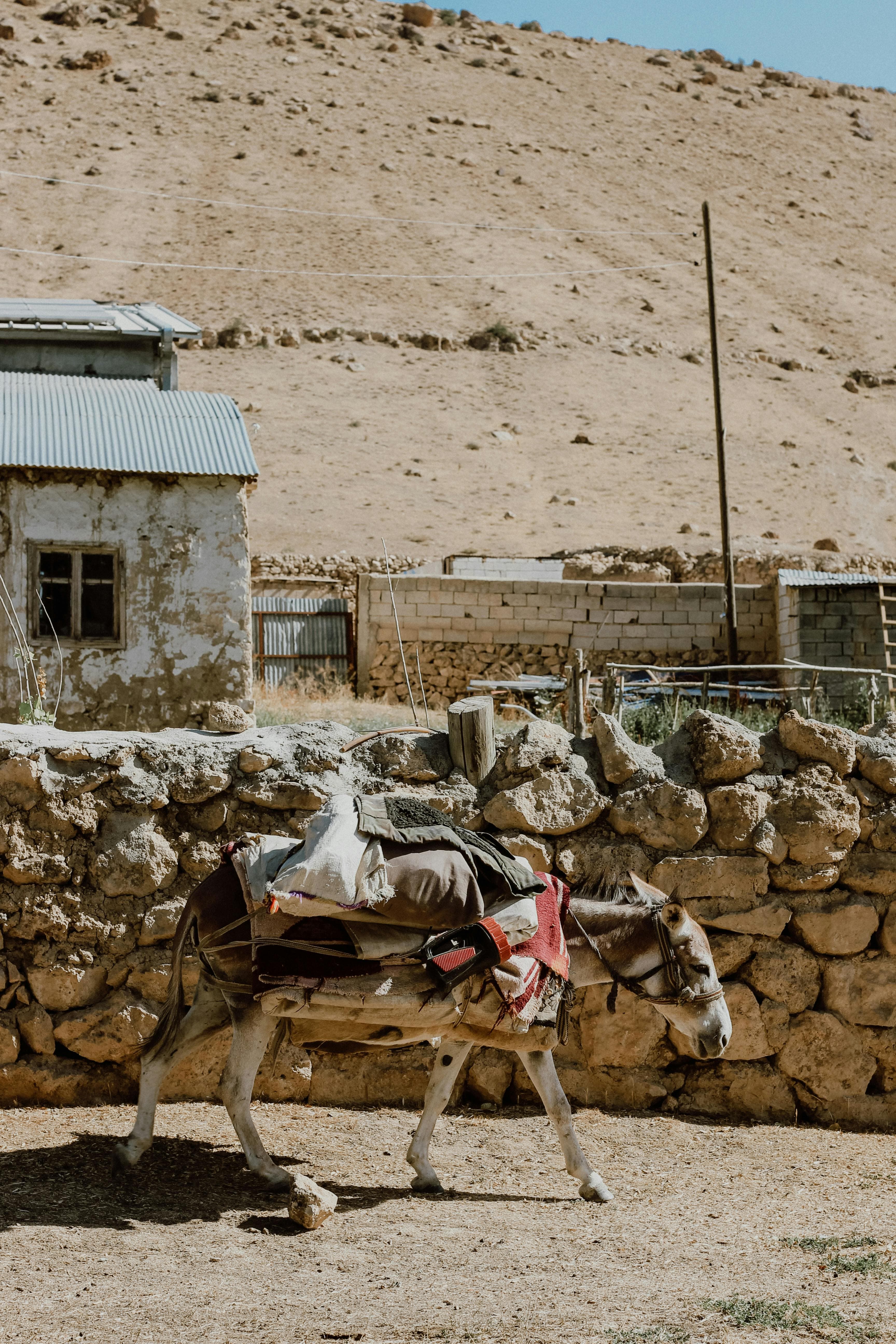 Arendt Regulatory & Consulting S.A.