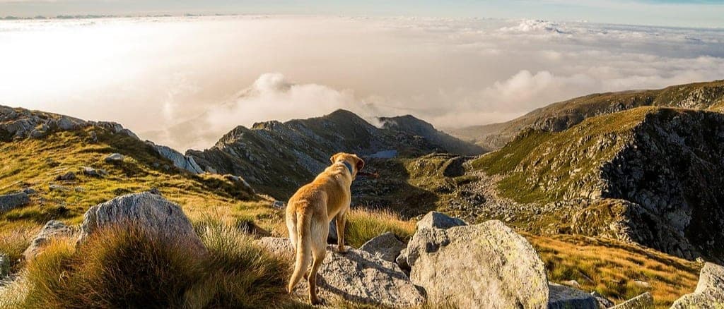 ManpowerGroup Luxembourg