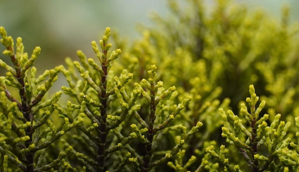 ManpowerGroup Luxembourg