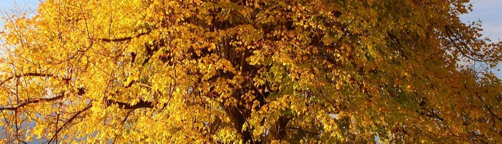 ManpowerGroup Luxembourg