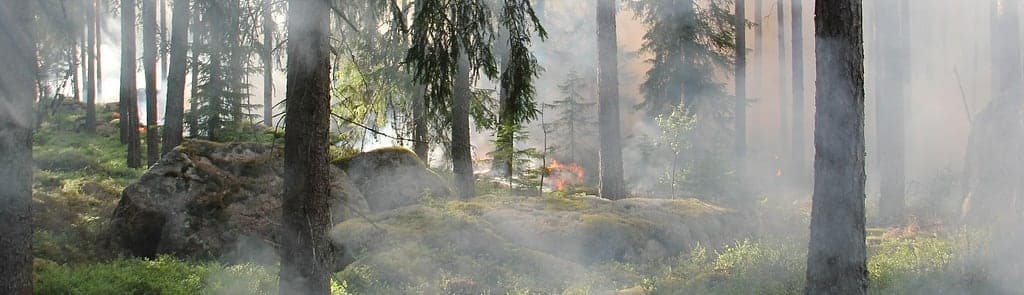 ManpowerGroup Luxembourg