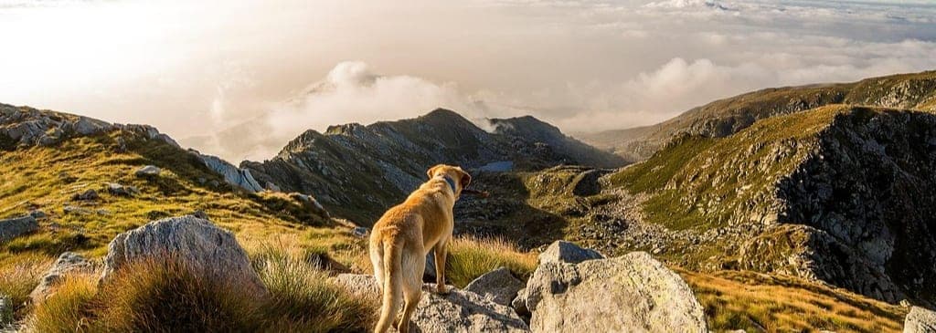 ManpowerGroup Luxembourg