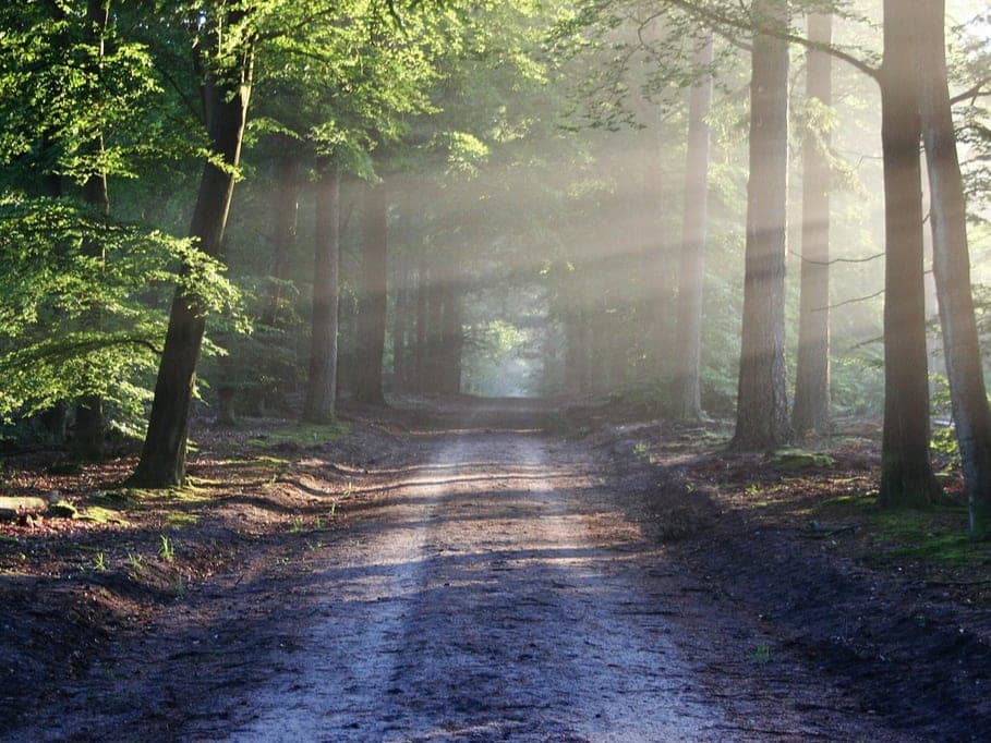 ManpowerGroup Luxembourg