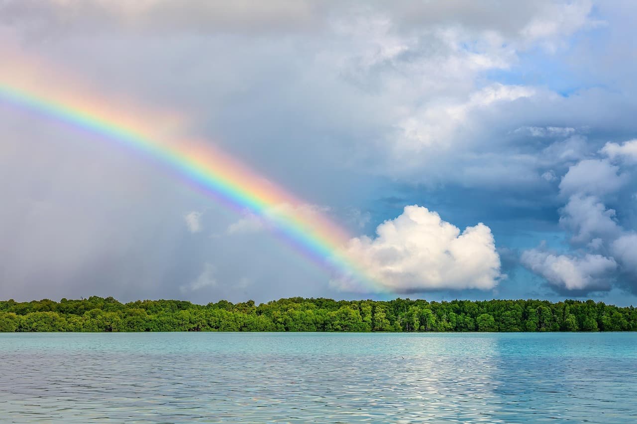 Michael Scott Paper Company